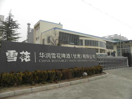 酒讯策划 四年关闭30家工厂 华润啤酒 割肉 之路还要走多久