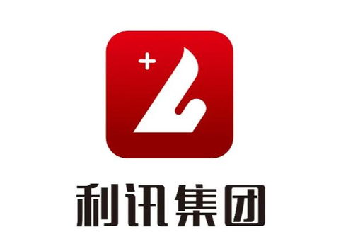 福建利讯集团