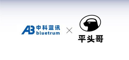 蓝牙芯片厂商中科蓝讯与平头哥半导体达成合作