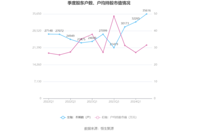 上海瀚讯2024年上半年业绩分析 营收下滑与战略转型下的阵痛